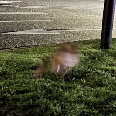 Munta Morton #1 warm up electro set!!