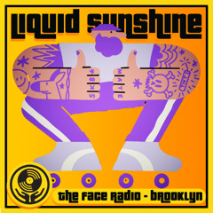 Modern Disco Pop - Liquid Sunshine @ The Face Radio - Show #252