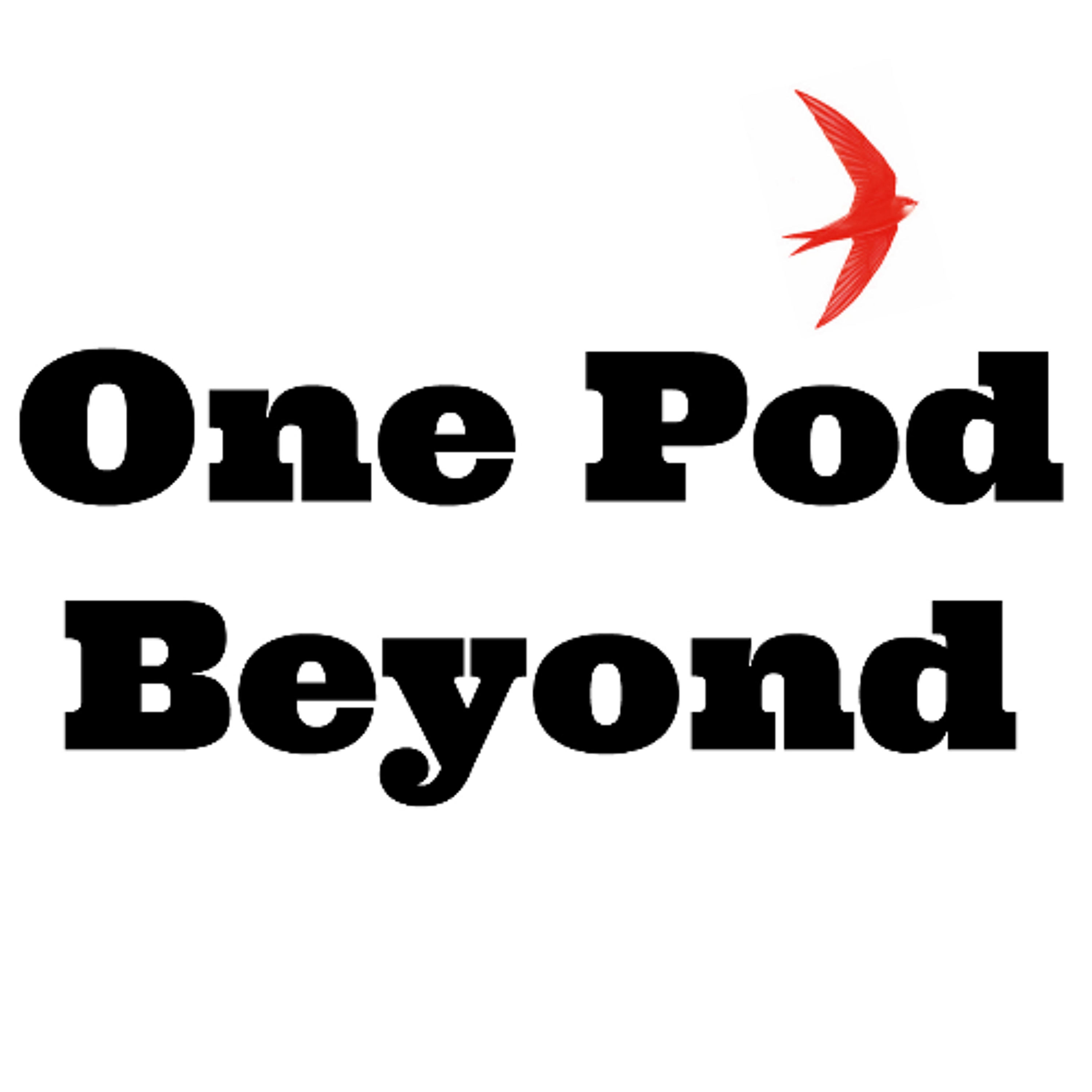 Episode 112 End of Season Special