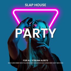 Party Slap House - Donation
