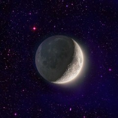 Fallen Nights (prod. Segador)