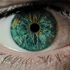 Close Up {Instrumental} 𝑷𝒓𝒐𝒅. 𝑩𝒚 Operation O™