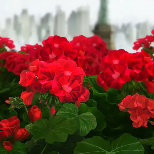 봉숭아 (feat.아무개)