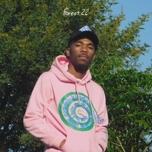 Forest 22