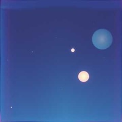 Vector Bird North India - saxo deep