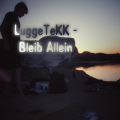 LuggeTeKK - Bleib Allein