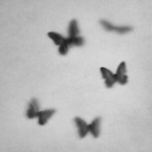 Simon Shackleton's 'On Heavy Rotation'