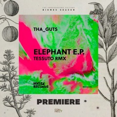 PREMIERE: Tha_Guts - Elephant (Tessuto Remix) [Massa Records]