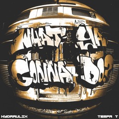 HYDRAULIX x TEMPA T - What Ya Gonna Do?