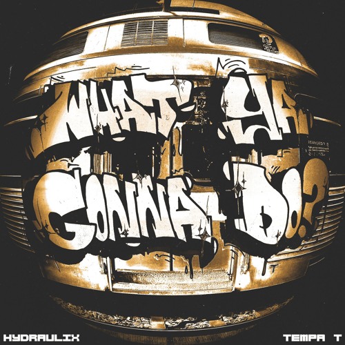 HYDRAULIX x TEMPA T - What Ya Gonna Do?