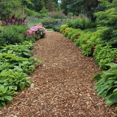 come c me if u have time