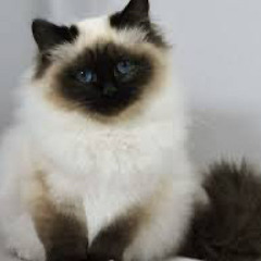 got no time prod by GVNNY