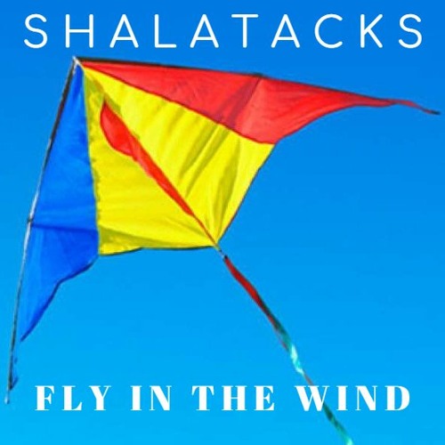 Shalatacks - Fly In  The Wind (Extended Instrumental HQ)