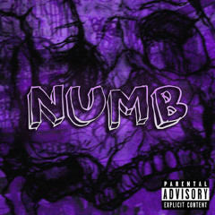 NUMB – $mokinfr [Genre Contest] (Lil peep inspired) (Prod. Luke x @luffysome)