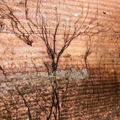 Every Little Bit of Life