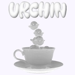 urchin