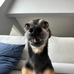 Goofy Beat