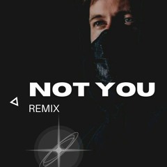 Not You - Alan Walker & Emma Steinbakken Remix