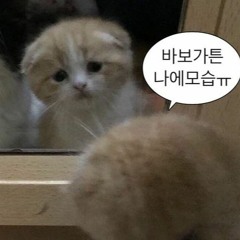 기리보이 - 술자리 (cover)
