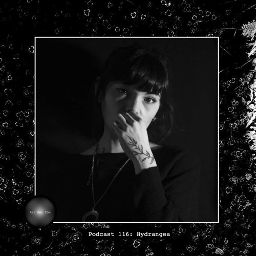 Art Bei Ton Podcast 116: Hydrangea