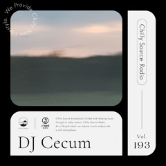 Summer Mood Mix【Chilly Source Radio Vol.193】 Mixed by Cecum