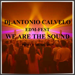 WE ARE THE SOUND