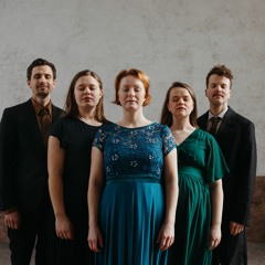 Litle fuglen (Little bird)