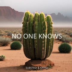 SUBSTED! & Kayka - No One Knows