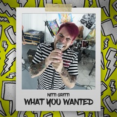 Nitti Gritti - What You Wanted