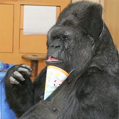 Dj Sneak.. Birthday Bash