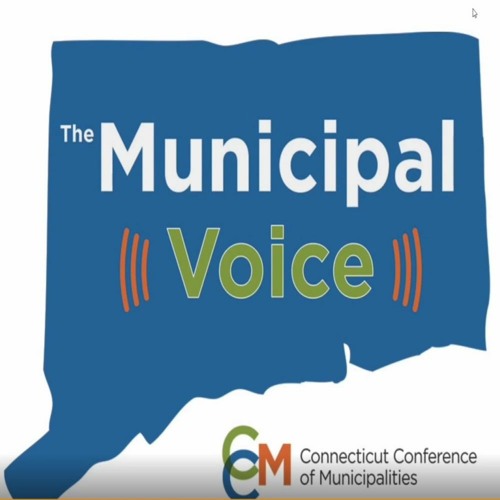 The Municipal Voice