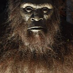 BigFoot