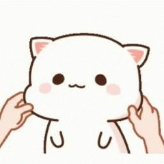 씨잼 힙플 라이브