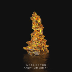 Not Like You [Immerman Music 11]