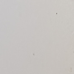 3. Solitude No.2