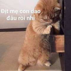 Nonstop Atula Vol 4 D.E Mixed Vina Rock Xập Xình.mp3