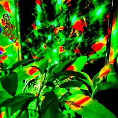Es endete im Wald #1