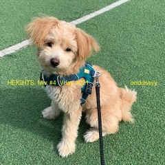 index caramel playlist