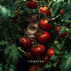 Tomaten