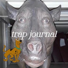 trap journal [prod. wxsterr]