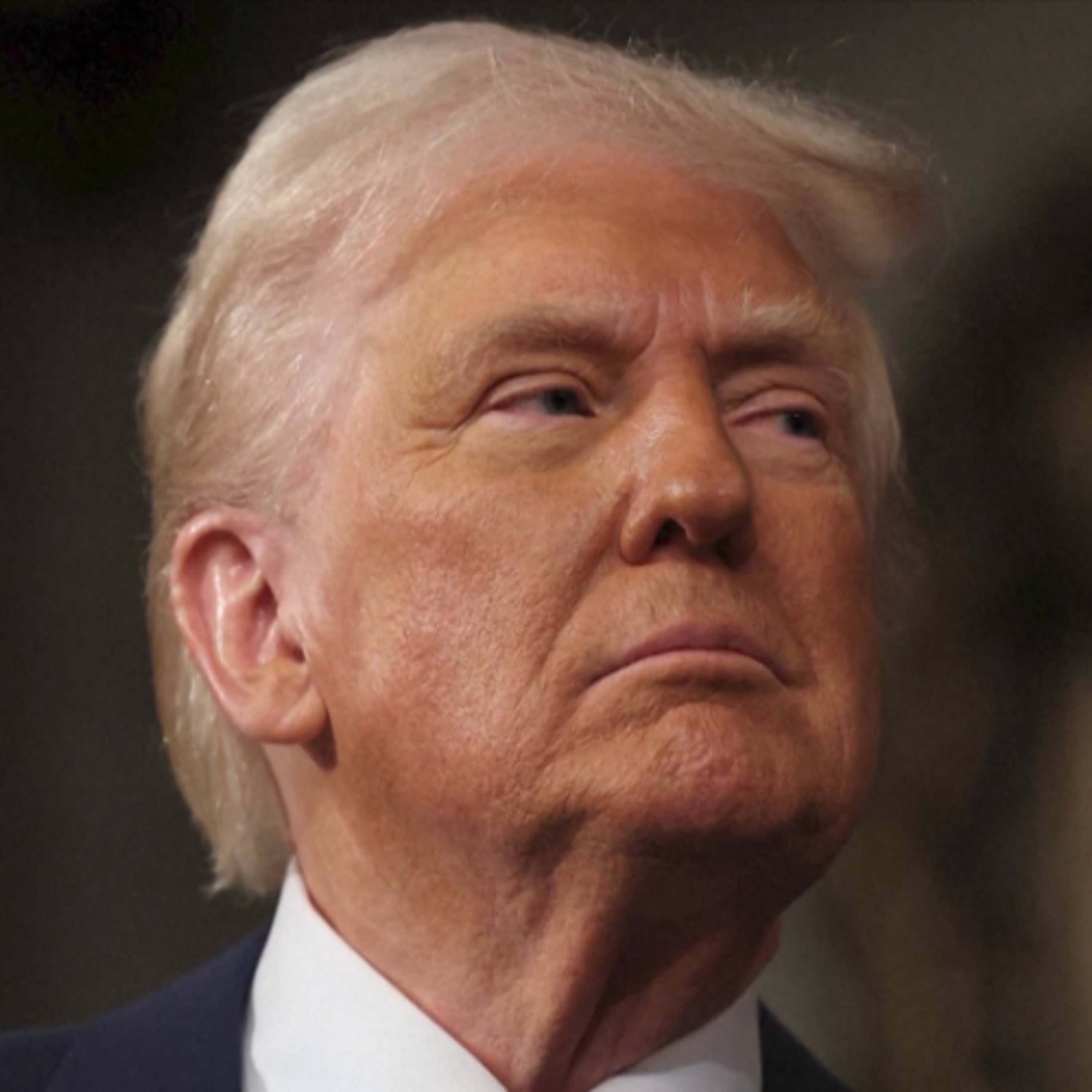 Los tribunales de EE.UU. frenan el intento autoritario de Trump de concentrar el poder público episode artwork