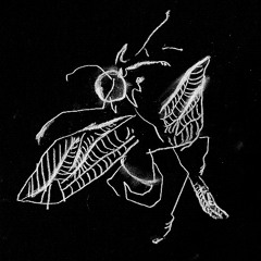 wjerstean - Raspad [NEN157]