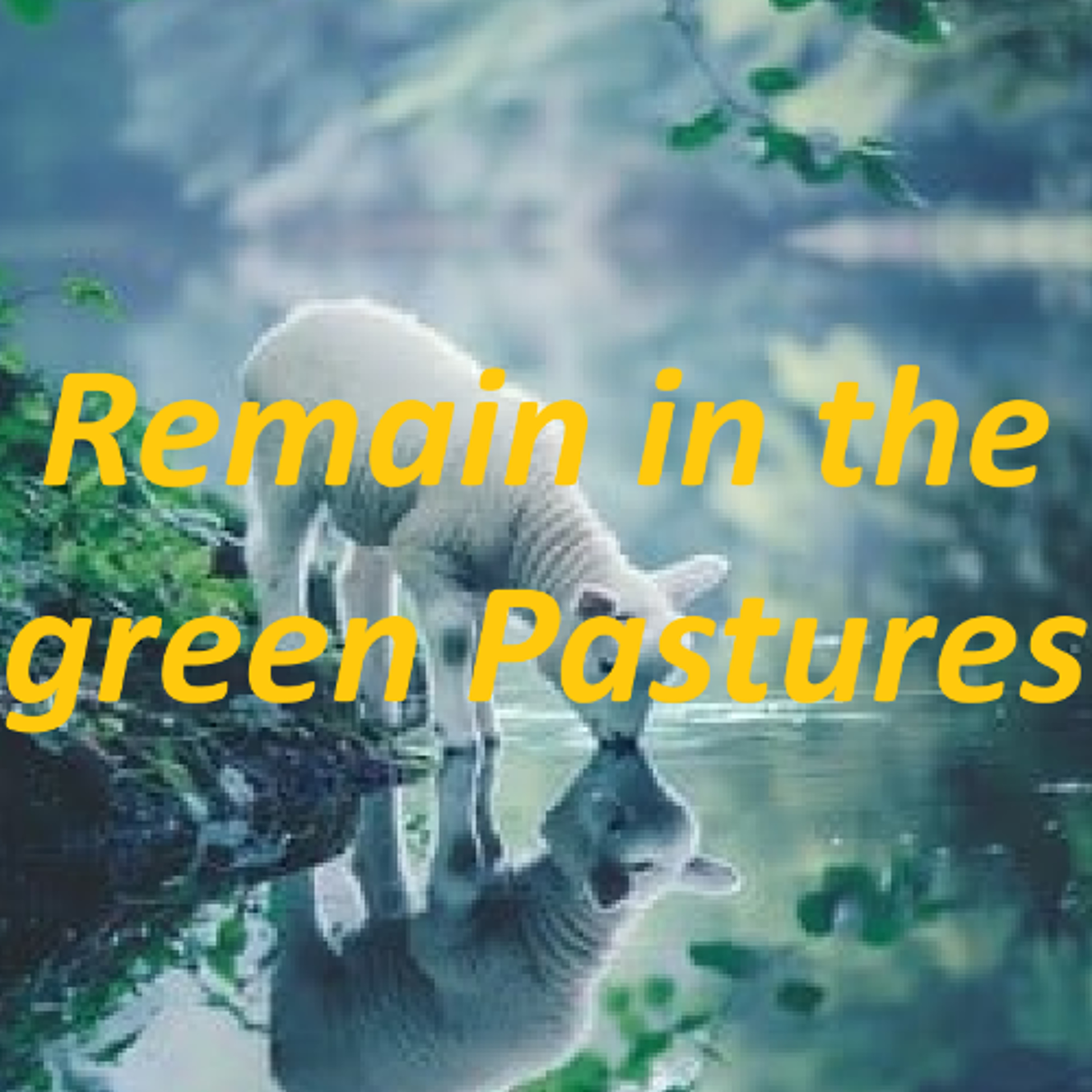 Remain in the Green Pastures episode artwork