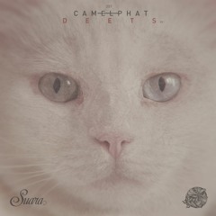 Lizard King (Original Mix)