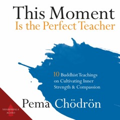 This Moment is the Perfect Teacher by Pema Chodron - Sample