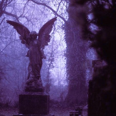 Общество Мёртвых Реперов