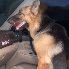 ‎⁨غرام او عشق &سؤال صغير /Hk45⁩