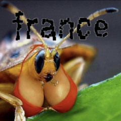 sexy france