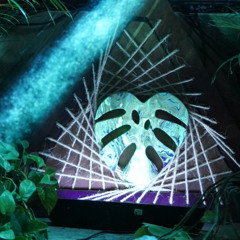 Live @ Jungle Space Party 2023