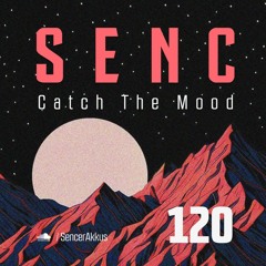 Catch The Mood #120